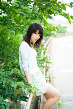王宝钏挖野菜